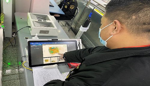 成都地鐵智慧出行新場景 票務服務助力科學防疫與智慧交通建設