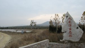 九龍?zhí)渡鷳B(tài)園歡迎您