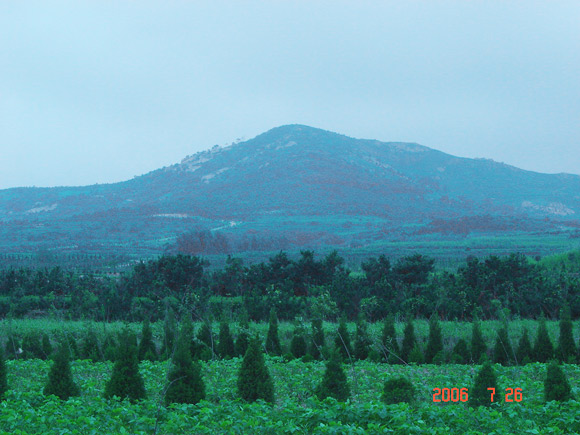 “優(yōu)質(zhì)土壤”生態(tài)園遠離城鎮(zhèn)，遠離工業(yè)區(qū)，土壤絕對天然、環(huán)保、綠色無污染